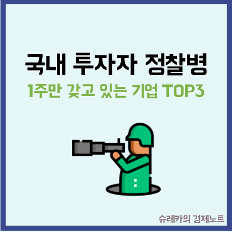  국내 투자자들이 정찰병으로 많이 보낸 종목 TOP3