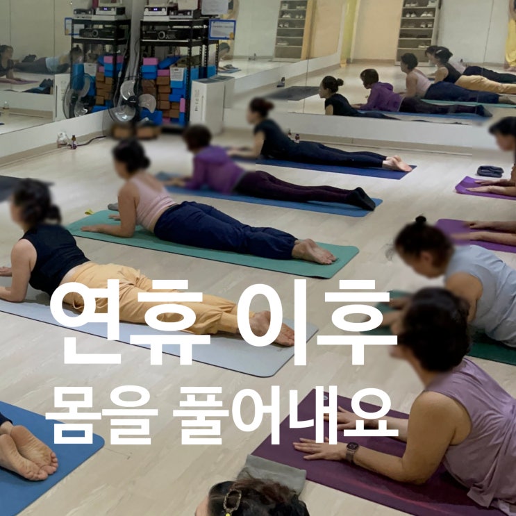  탄현동 헬스장 연휴 이후 첫 요가 시간! 많이 먹은 몸 풀어내자