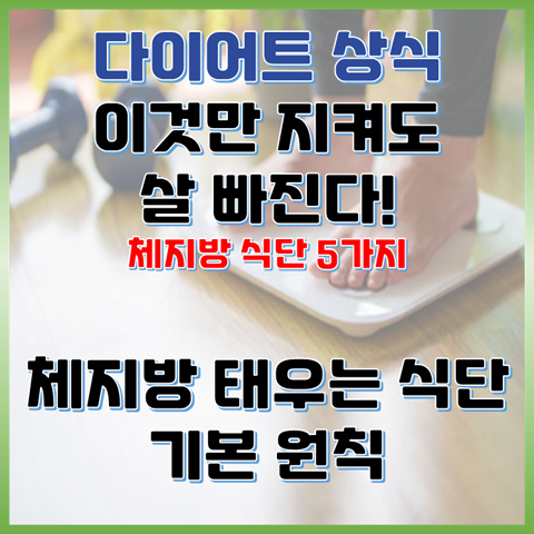 이것만 지켜도 살 빠진다, 체지방 태우는 식단 5가지 기본 원칙