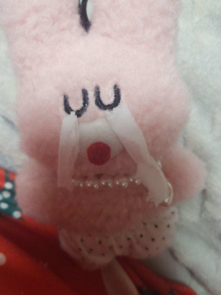 서이추 환영 토끼는 운다