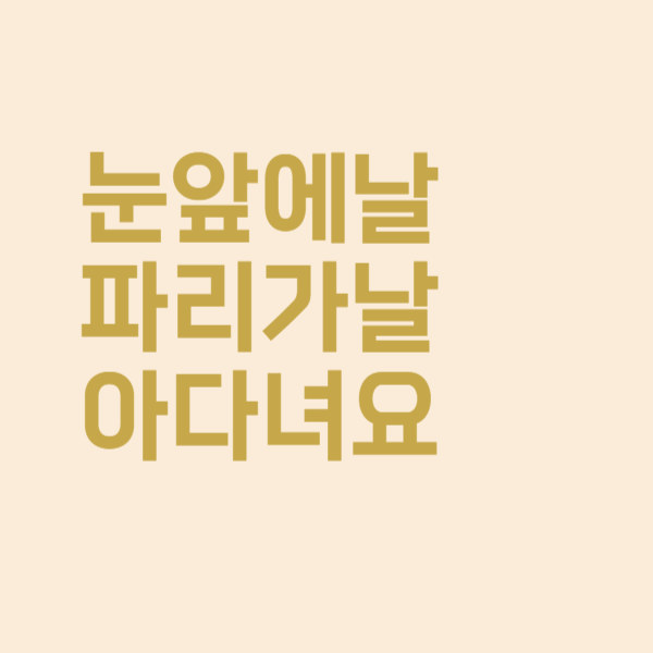  눈앞에 날파리 날아다녀요, 꼭 치료해야 하는지