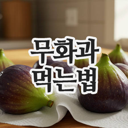  무화과 먹는법 껍질부터 칼로리, 보관까지 완벽 가이드