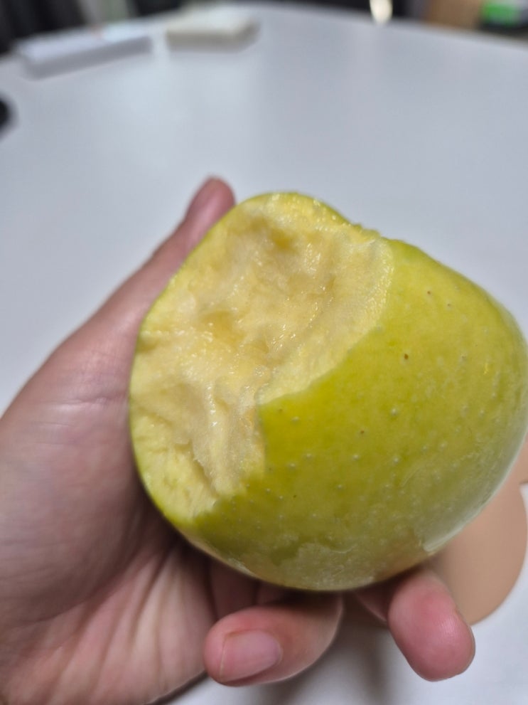  아침 한입 시나노골드, 과즙 팡팡한 진짜 골드사과️!