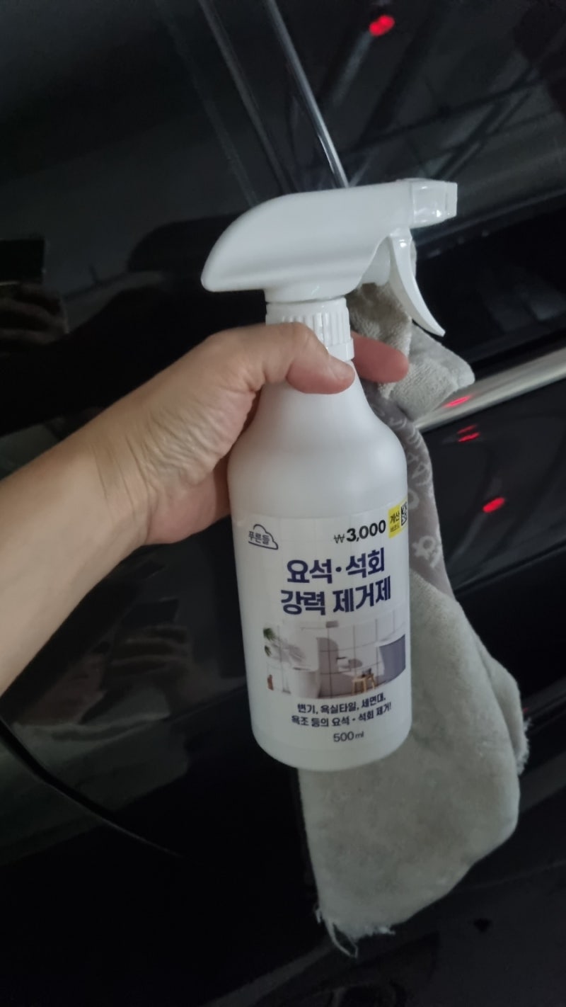 자동차 석회제거(다이소)