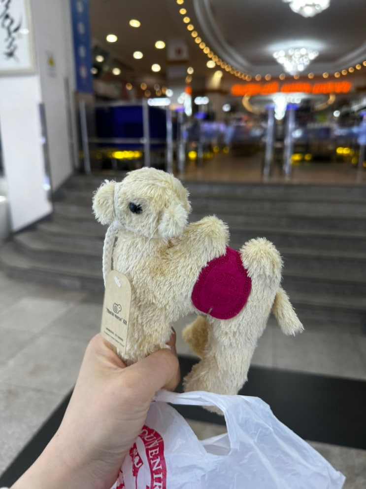 [2025년 5월] 하나투어 몽골 패키지 여행 : 4일차