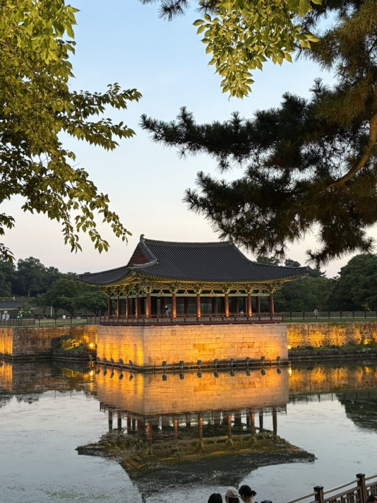  경주 동궁과 월지 여행코스 추천｜야경 명소·입장료·주차 꿀팁 총정리