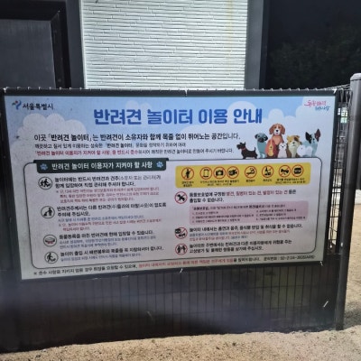 사진 2