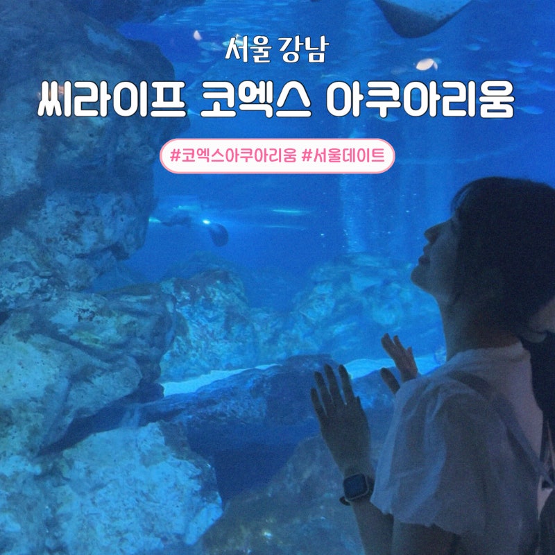코엑스 아쿠아리움 최대 할인 | 인어공주 쇼 공연 시간 | 서울 봉은사역 강남 데이트코스