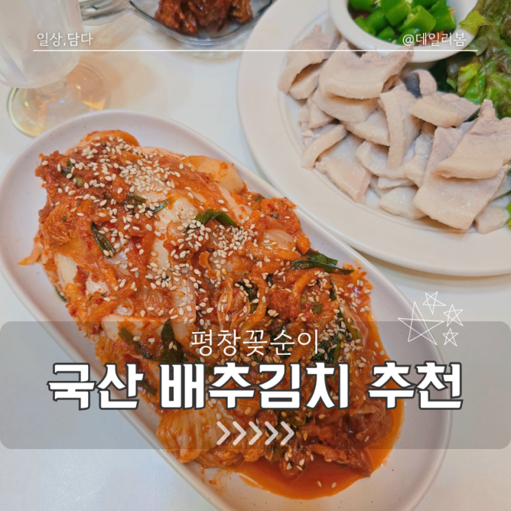  국산 배추김치 추천/익을수록 더 맛있는 평창꽃순이 생태마을 배추김치 솔직 후기