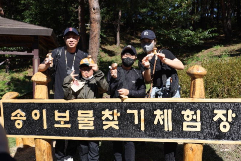 양양송이축제 일정 2025: 프로그램, 체험, 먹거리, 주차까지 한방에 총정리