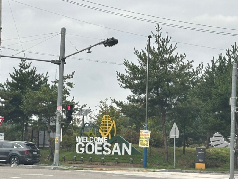 사진 5