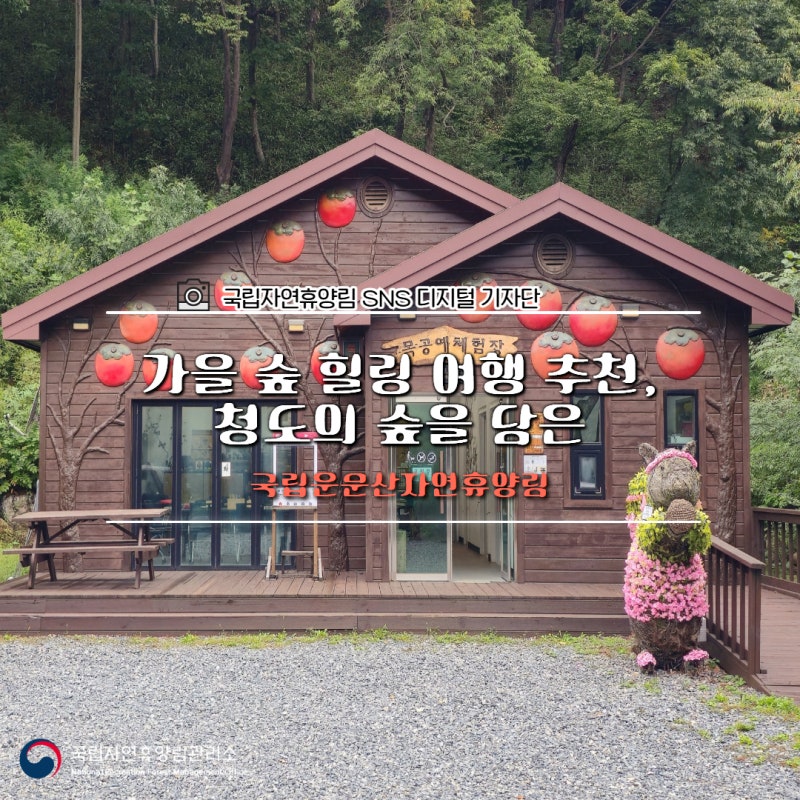 가을 숲 힐링 여행 추천, 청도의 숲을 담은 국립운문산자연휴양림