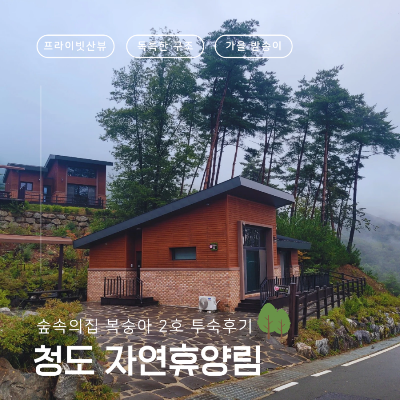 경북 청도 숲속의집 '복숭아 2호' 투숙후기 이용 총정리 :: 프라이빗 산뷰 ....