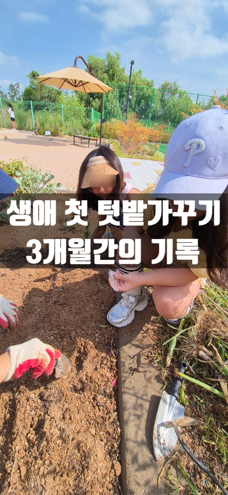 텃밭가꾸기 비료추천 스마트한 농부 이맘때멀티로 고추가 주렁주렁
