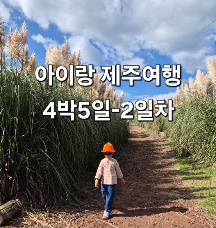  아이랑 제주여행 4박5일 2일차