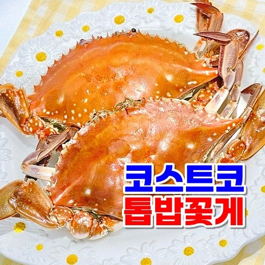 코스트코 꽃게 찌는법 시간 가격 손질 생물 톱밥꽃게 찜 요리 추천