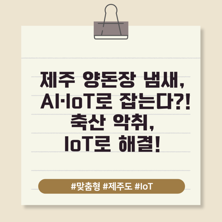  제주 양돈장 냄새, AI·IoT로 잡는다?! 축산 악취, IoT로 해결!