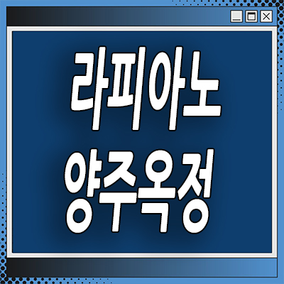  라피아노 양주옥정 할인분양 타운하우스 옥정신도시 kcc건설 단독주택