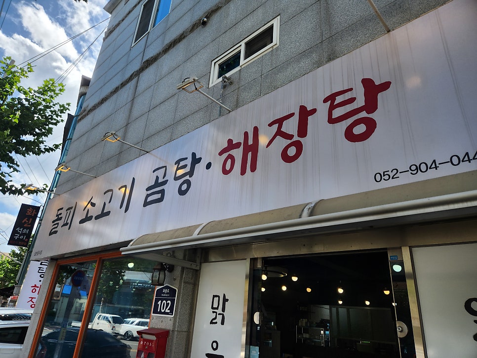 돌피 사진 2