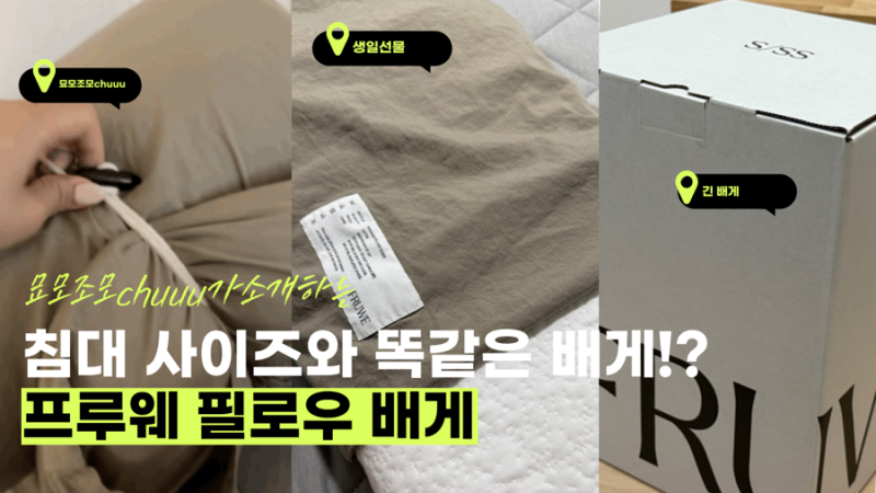 FRUWE 푸르웨 파노라마 필로우 배게 내돈내산 한달 사용 후기 및 교환후기