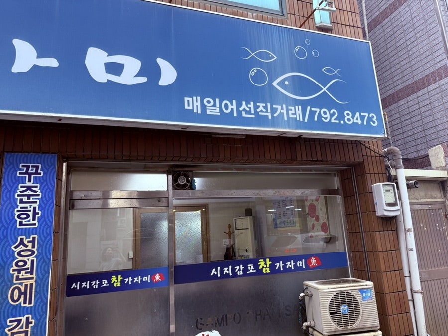 시지감포참가자미 사진 2
