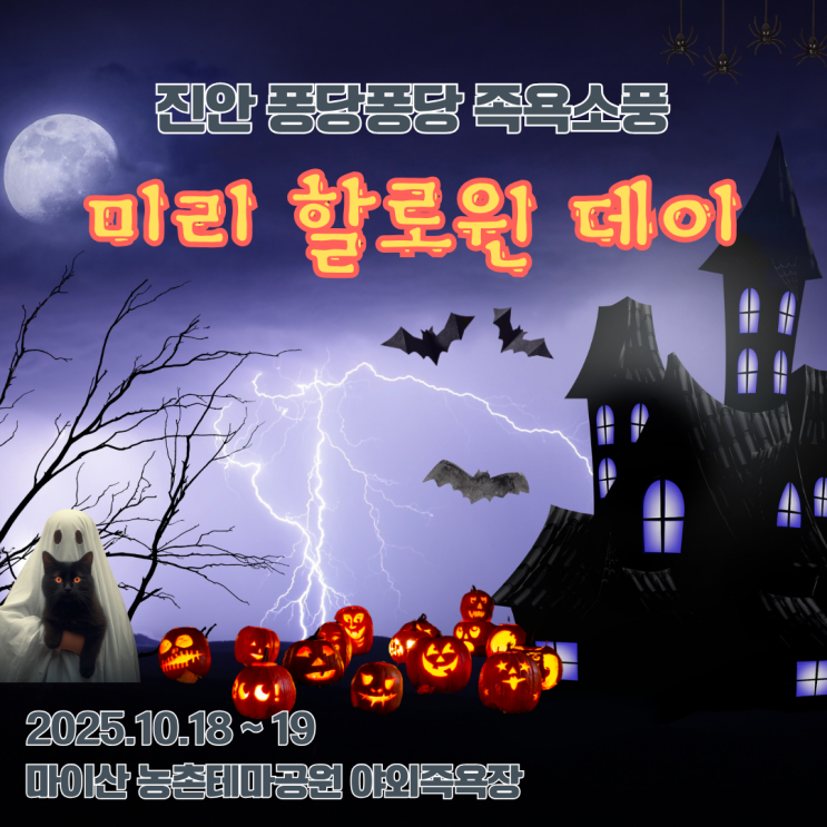  미리 할로윈데이 <진안 퐁당퐁당 족욕소풍> 축제 기본 정보 전라도 여행 진안 가볼만한 곳