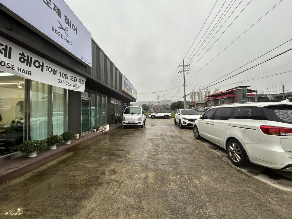 로제헤어 사진 4