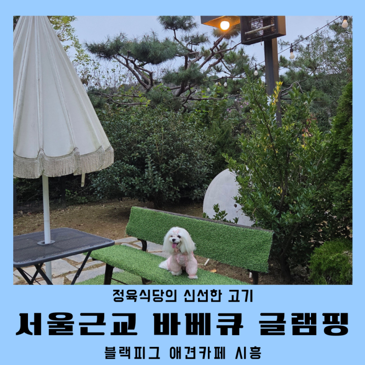  서울근교 바베큐 애견동반 글램핑 블랙피그 시흥 애견 카페