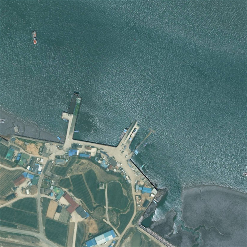 사옥도 사진 3