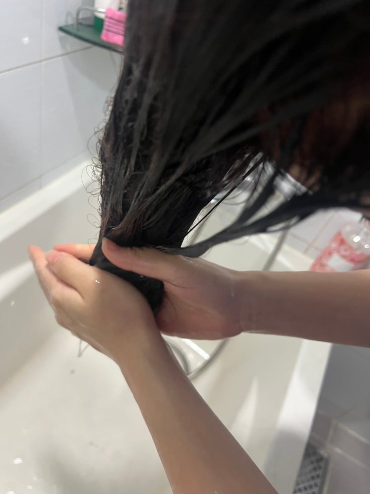  여성 탈모샴푸 추천｜지루성 두피염+두피 건조함 완화까지, 그리아 샴푸 리뷰