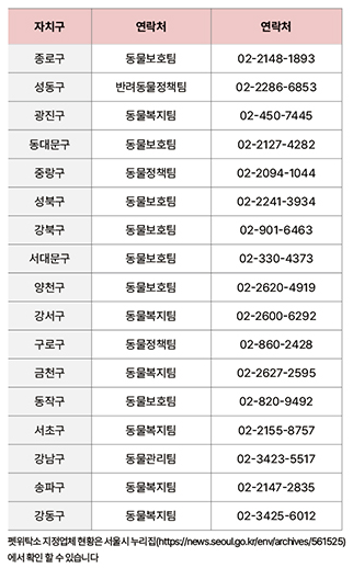 사진 5