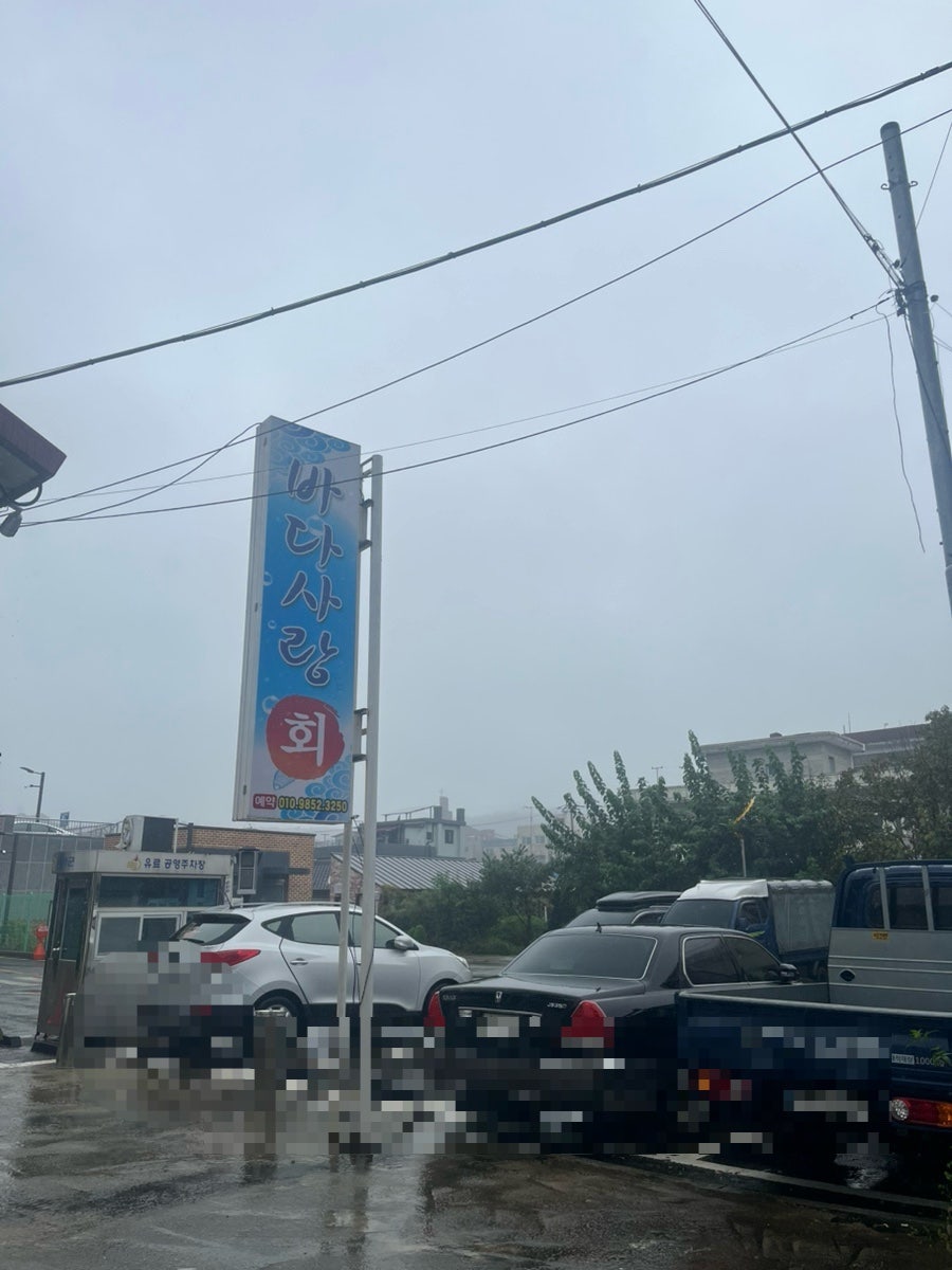바다사랑회 사진 1