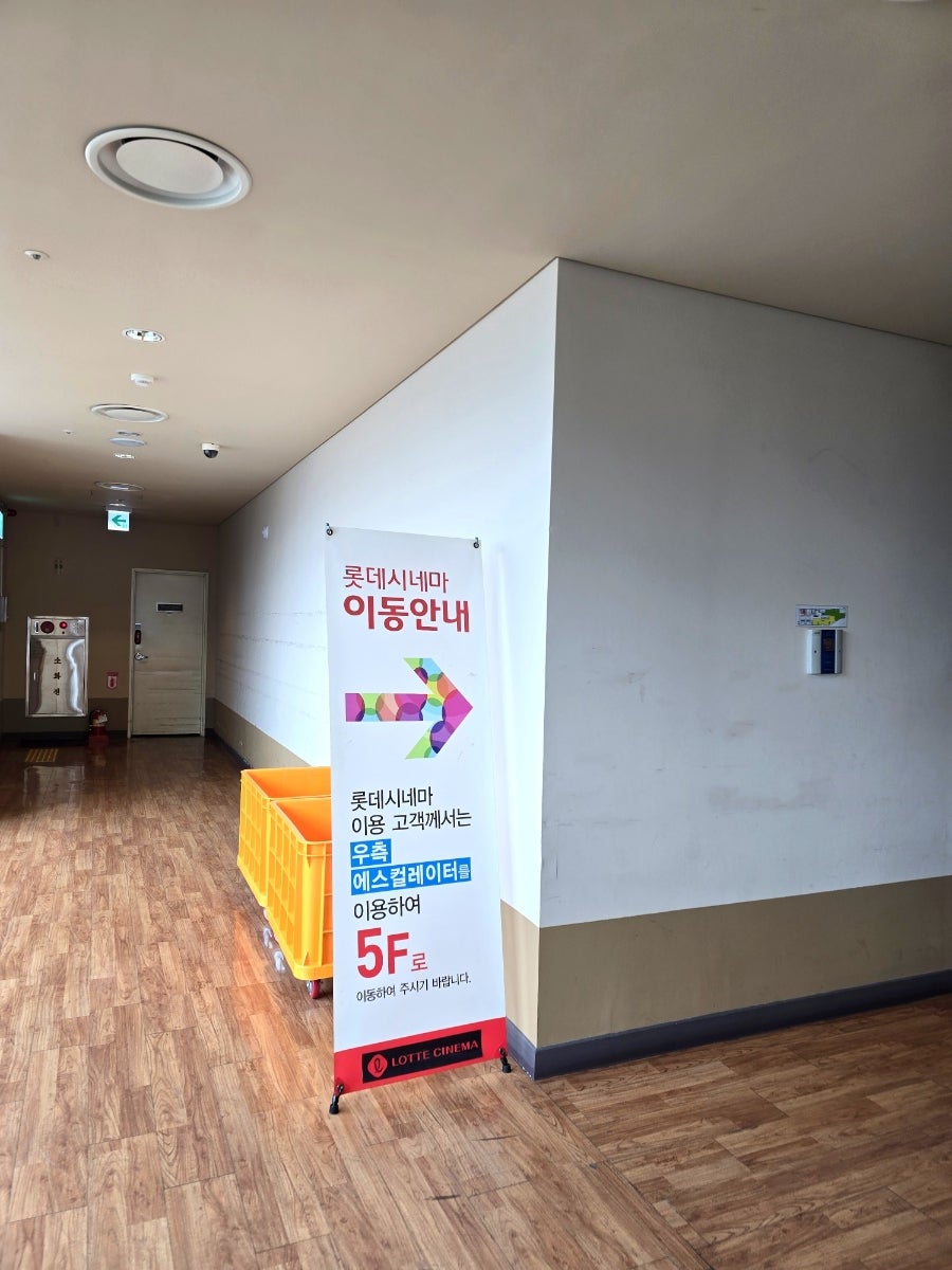 스타루루 사진 3