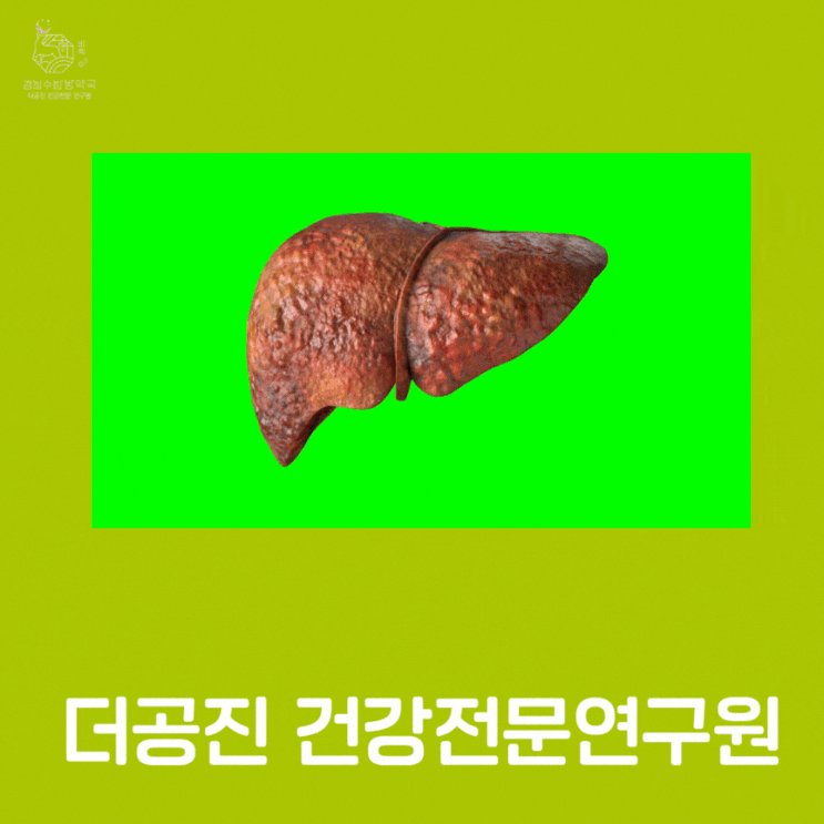  명절후, 급찐급빠 다이어트 6kg 식단 분당 용인수지 비책 수 디톡스 해독 다이어트 한약
