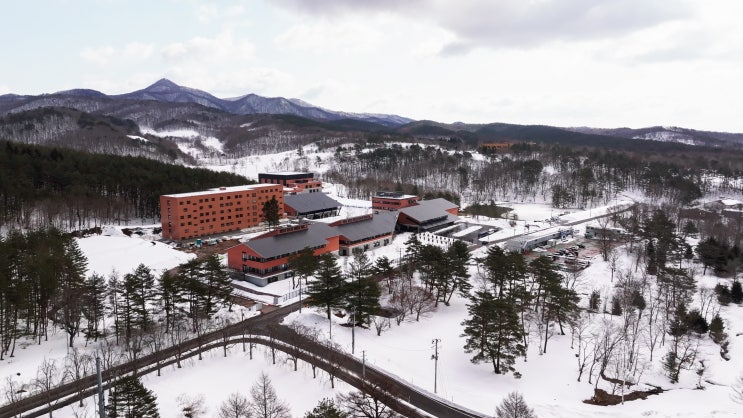 눈 속에서 배우는 리더십, 해로우 아피 일본 국제학교 기숙사 - 일본 유학생활의 진짜 이야기