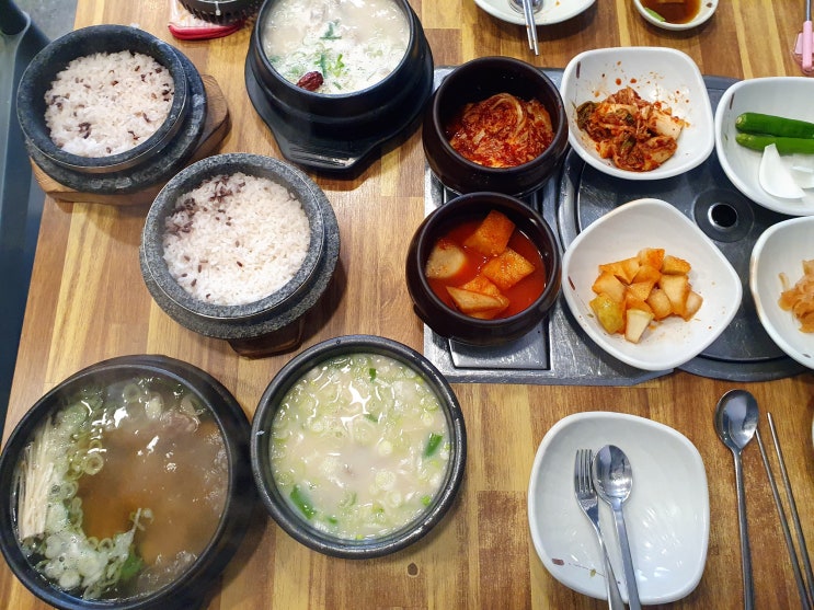  대전 산성동 맛집 보문산 맛집 유가본가설렁탕 대만족