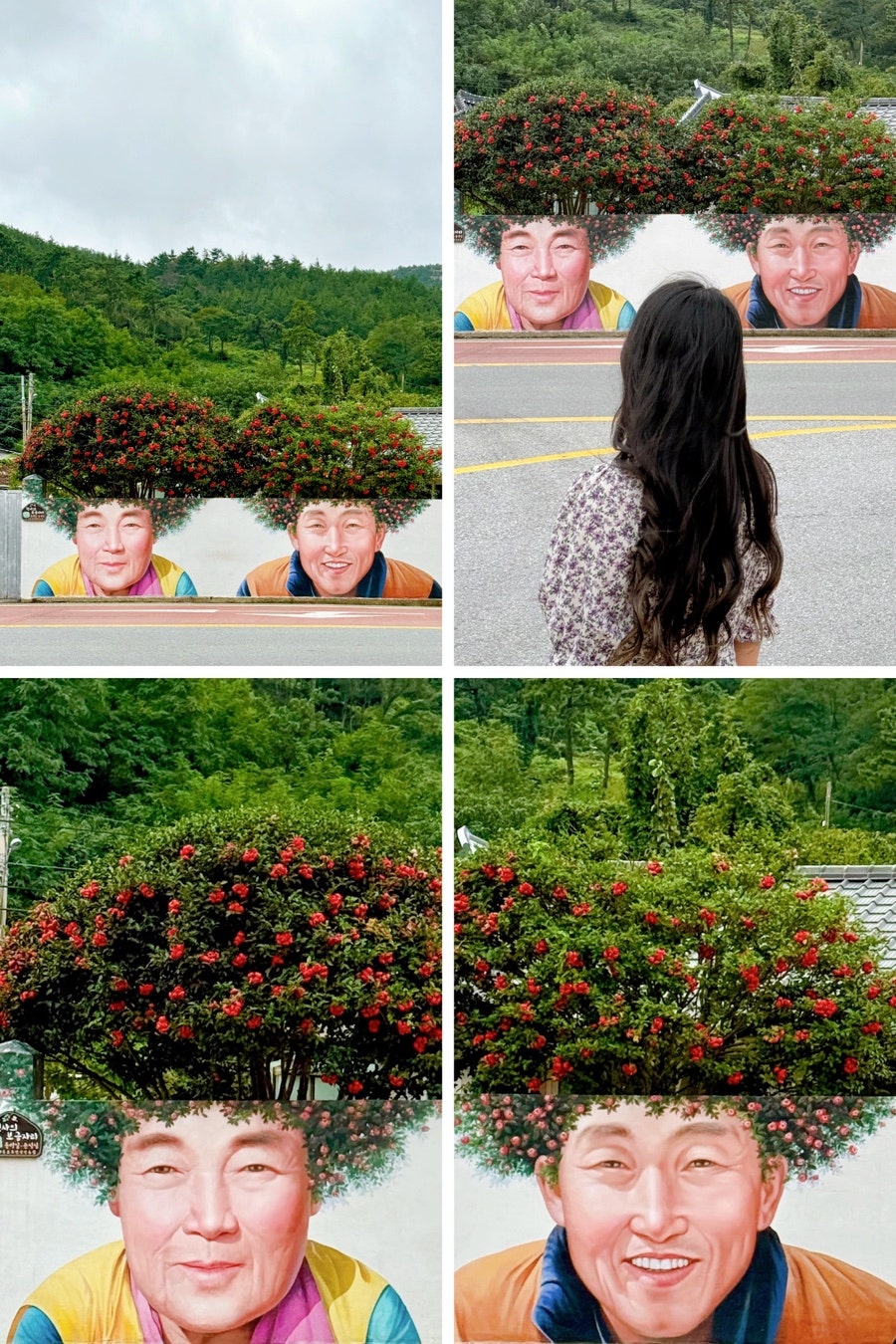 머리이야기 사진 2