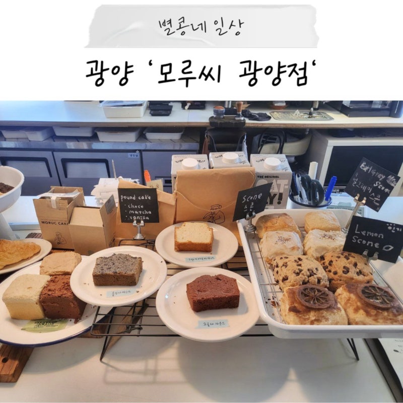 모루씨 광양점