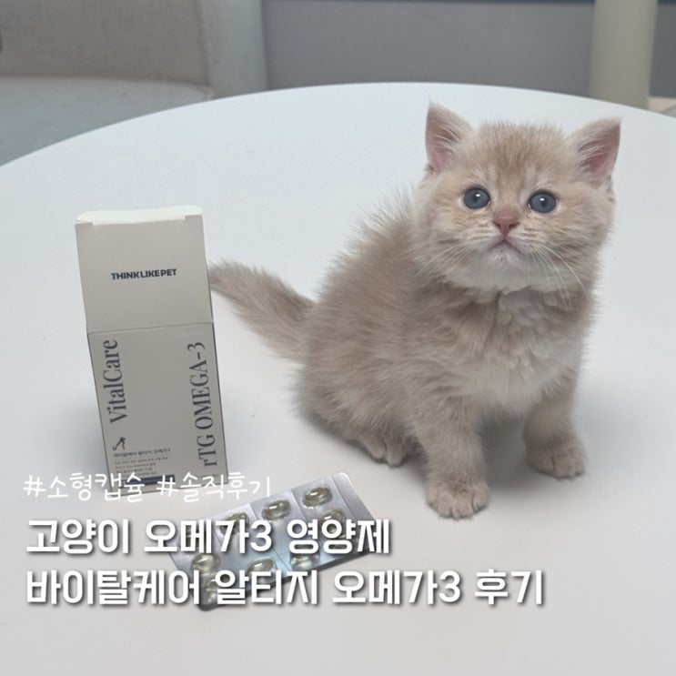  씽크라이크펫 바이탈케어 알티지 오메가3 솔직후기