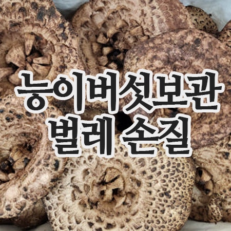  능이버섯 보관 방법 — 냉장, 냉동, 손질, 벌레 해결까지 한눈에!