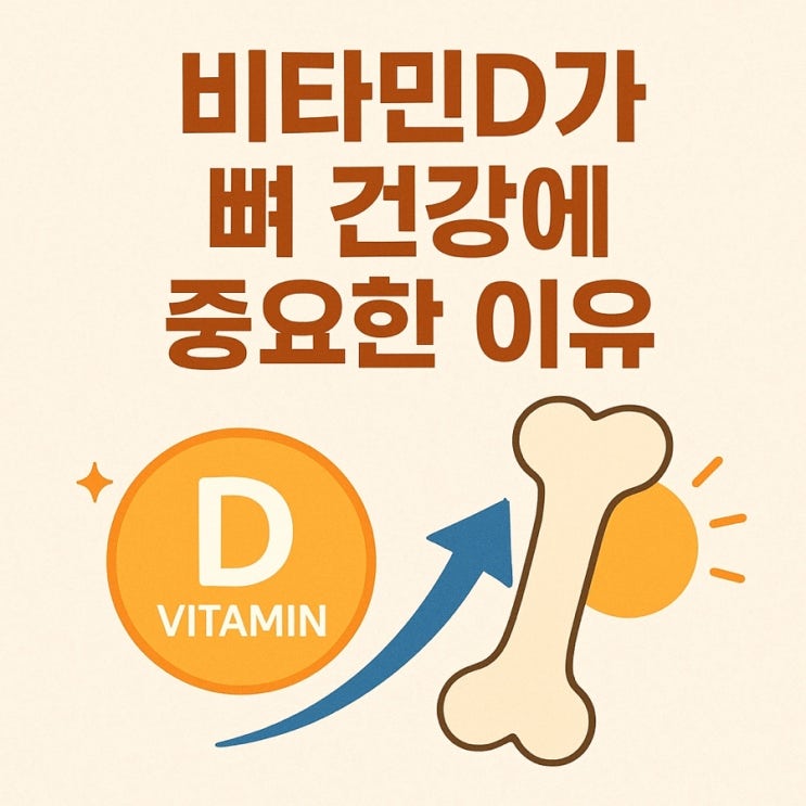 비타민D가 뼈 건강에 중요한 이유️ 칼슘 흡수부터 골다공증 예방까지 완벽 정리!