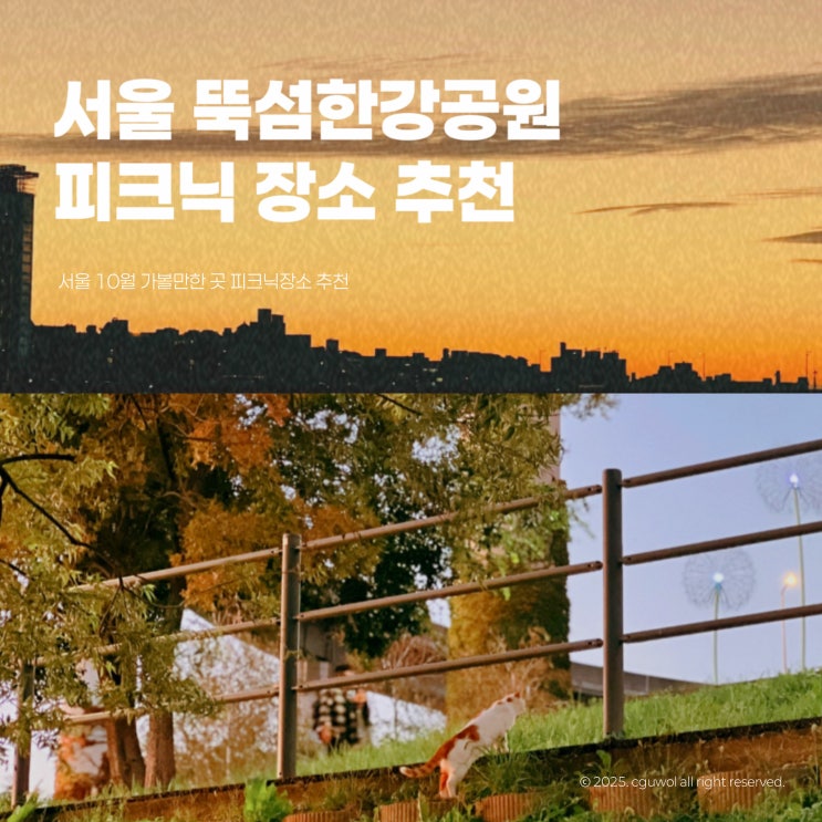  서울 10월 가볼만한 곳 뚝섬한강공원 피크닉 장소 추천
