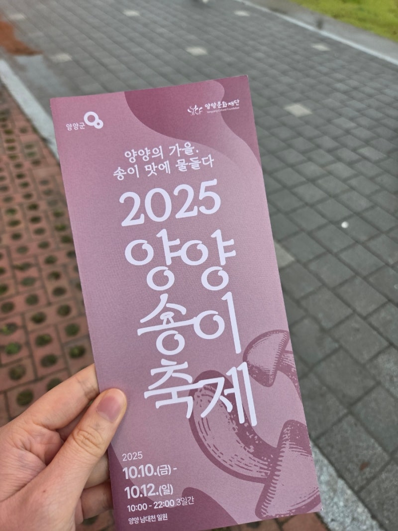 양양) 2025 양양송이축제 다녀온 후기(feat. 집에서 송이버섯 + 소고기 먹방)