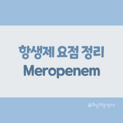  [항생제 요점 정리] Meropenem (메로페넴)