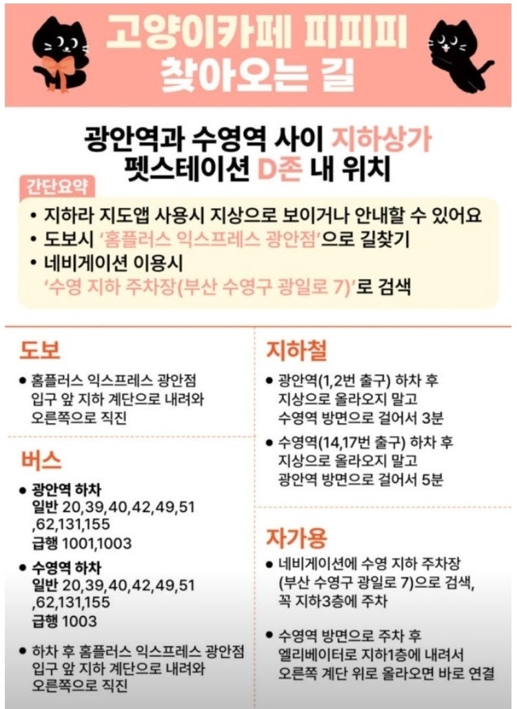 고양이카페 피피피 펫스테이션점
