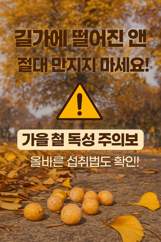   길가에 떨어진 은행, 절대 만지지 마세요!