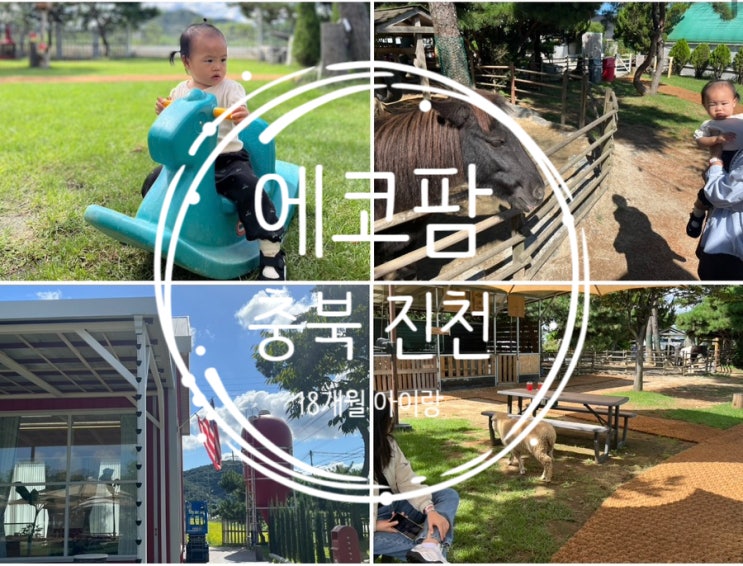  진천 에코팜 아이랑 가볼만한곳 방문 후기