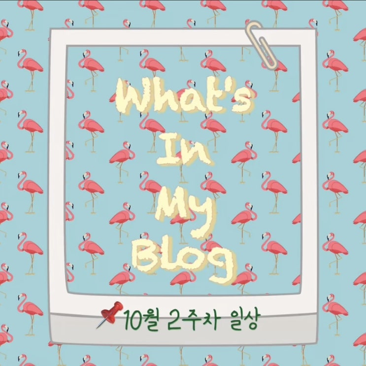  10월 2주 차 일상 정리 왓츠인마이블로그 블챌