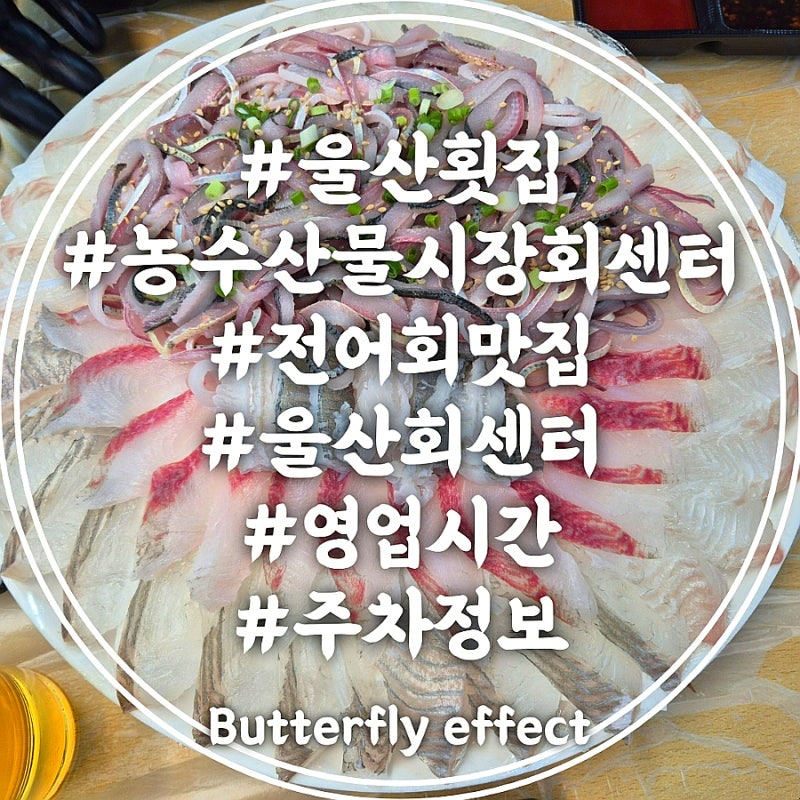 울산 농수산물시장 회센터 전어회 맛집 추천 영업시간 주차