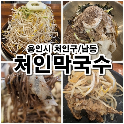  용인 처인 막국수의 정석 메밀향 가득한 한 그릇과 소불고기 전골 한상